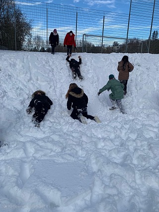 tb-w320-fit-int-ba05204206bd7aa09972a354af2dbb47 Gustav Walle Schule &ndash; Home